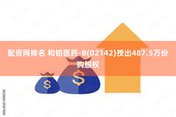 配资网排名 和铂医药-B(02142)授出487.5万份购股权