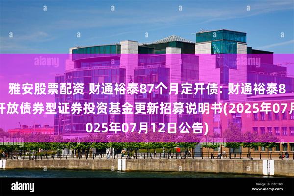雅安股票配资 财通裕泰87个月定开债: 财通裕泰87个月定期开放债券型证券投资基金更新招募说明书(2025年07月12日公告)