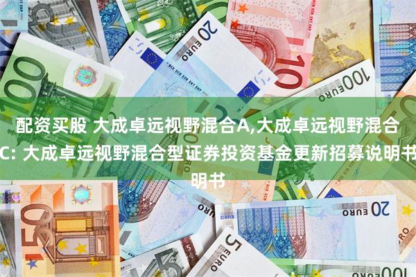 配资买股 大成卓远视野混合A,大成卓远视野混合C: 大成卓远视野混合型证券投资基金更新招募说明书