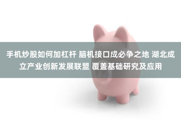 手机炒股如何加杠杆 脑机接口成必争之地 湖北成立产业创新发展联盟 覆盖基础研究及应用