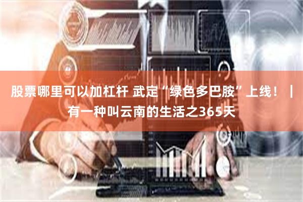 股票哪里可以加杠杆 武定“绿色多巴胺”上线！｜有一种叫云南的生活之365天