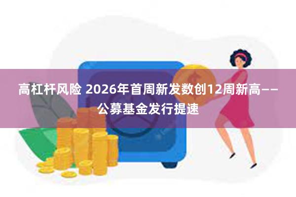 高杠杆风险 2026年首周新发数创12周新高——公募基金发行提速