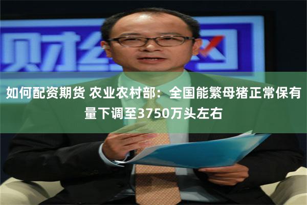 如何配资期货 农业农村部：全国能繁母猪正常保有量下调至3750万头左右