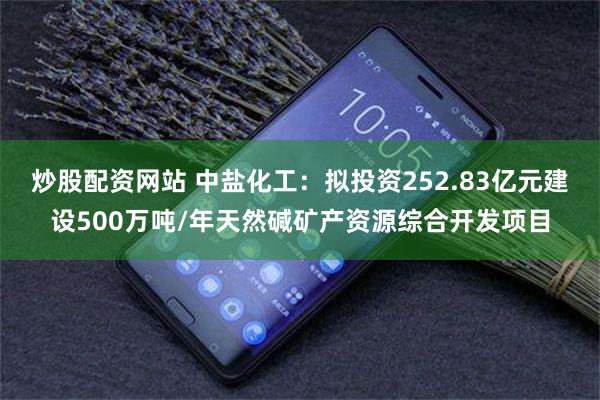 炒股配资网站 中盐化工:拟投资252.83亿元建设500万吨/年天然碱矿产资源综合开发项目