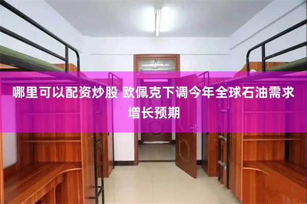 哪里可以配资炒股 欧佩克下调今年全球石油需求增长预期