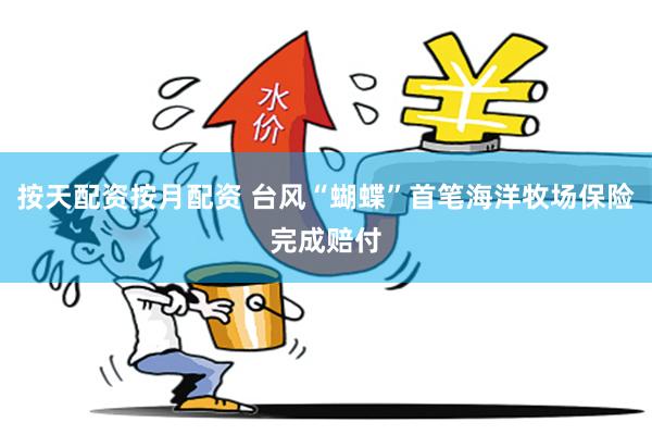 按天配资按月配资 台风“蝴蝶”首笔海洋牧场保险完成赔付