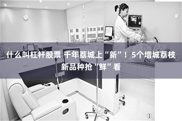 什么叫杠杆股票 千年荔城上“新”！5个增城荔枝新品种抢“鲜”看