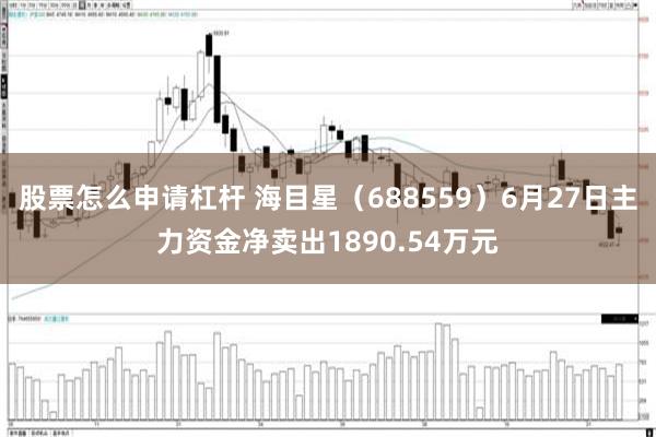股票怎么申请杠杆 海目星（688559）6月27日主力资金净卖出1890.54万元