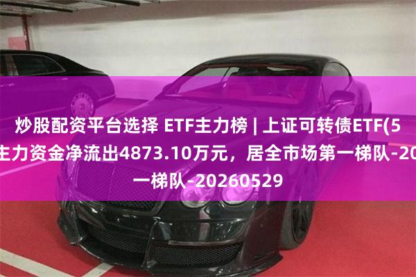 炒股配资平台选择 ETF主力榜 | 上证可转债ETF(511180)主力资金净流出4873.10万元，居全市场第一梯队-20260529