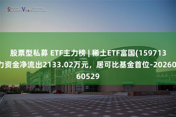 股票型私募 ETF主力榜 | 稀土ETF富国(159713)主力资金净流出2133.02万元，居可比基金首位-20260529