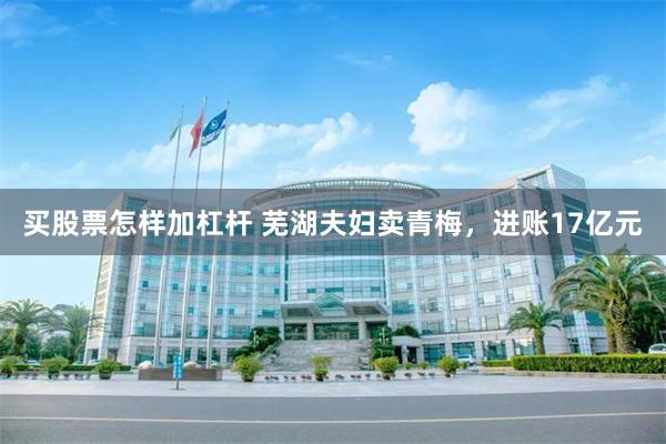 买股票怎样加杠杆 芜湖夫妇卖青梅，进账17亿元
