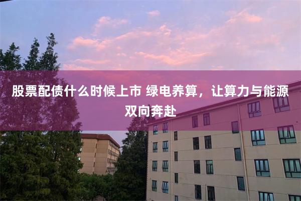 股票配债什么时候上市 绿电养算，让算力与能源双向奔赴