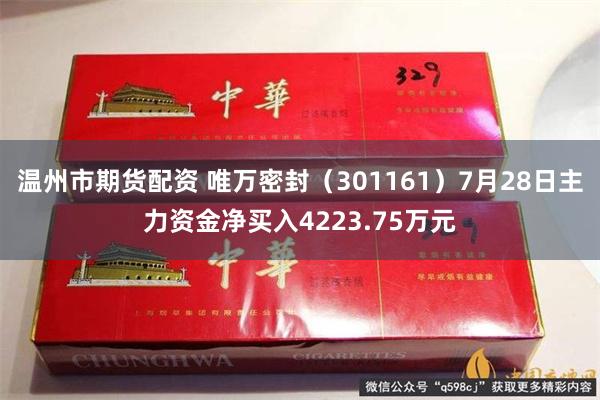 温州市期货配资 唯万密封（301161）7月28日主力资金净买入4223.75万元