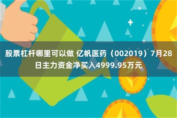 股票杠杆哪里可以做 亿帆医药（002019）7月28日主力资金净买入4999.95万元