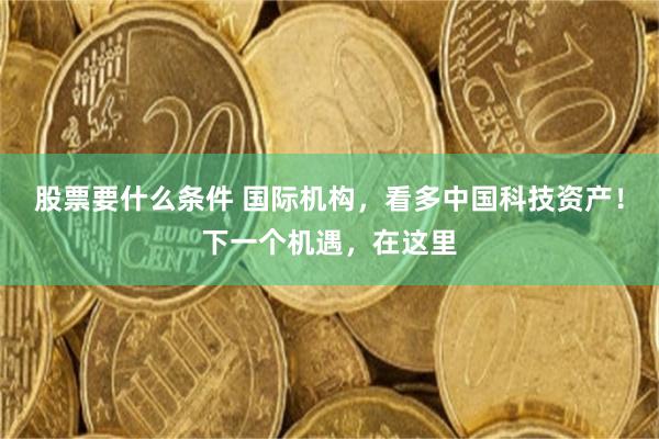 股票要什么条件 国际机构，看多中国科技资产！下一个机遇，在这里
