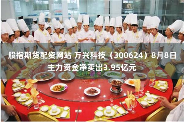 股指期货配资网站 万兴科技（300624）8月8日主力资金净卖出3.95亿元