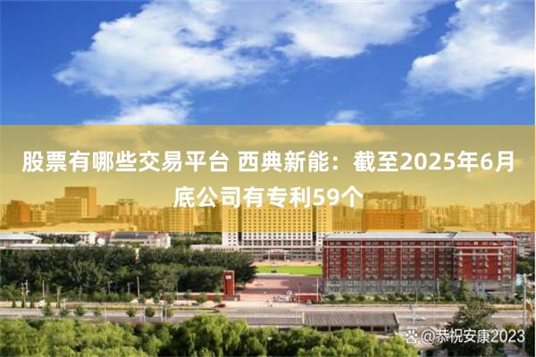 股票有哪些交易平台 西典新能：截至2025年6月底公司有专利59个