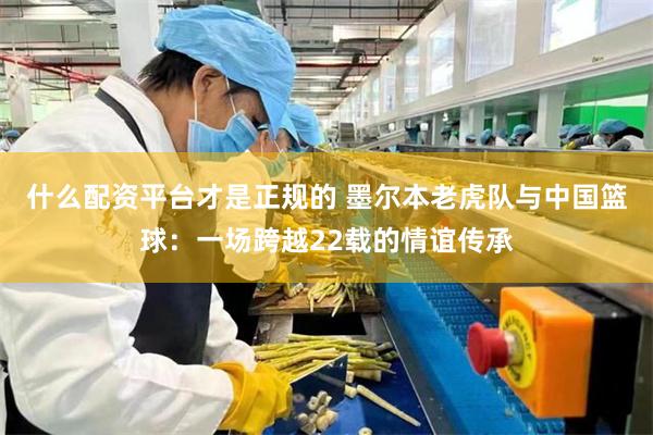 什么配资平台才是正规的 墨尔本老虎队与中国篮球:一场跨越22载的情谊传承