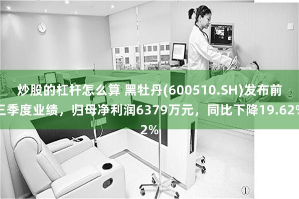 炒股的杠杆怎么算 黑牡丹(600510.SH)发布前三季度业绩，归母净利润6379万元，同比下降19.62%