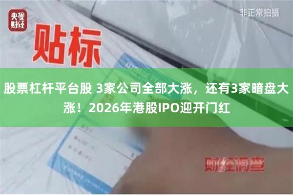 股票杠杆平台股 3家公司全部大涨，还有3家暗盘大涨！2026年港股IPO迎开门红