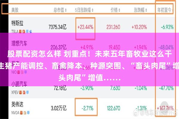 股票配资怎么样 划重点！未来五年畜牧业这么干：聚焦生猪产能调控、畜禽降本、种源突围、“畜头肉尾”增值……