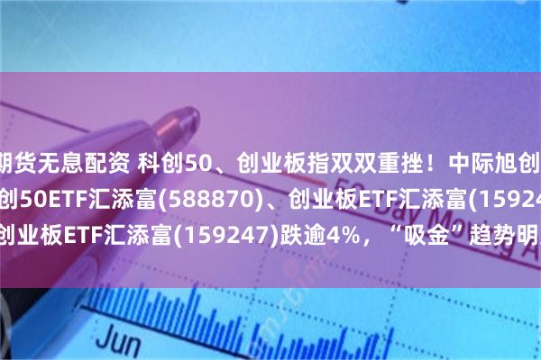 期货无息配资 科创50、创业板指双双重挫！中际旭创、寒武纪跌超8%，科创50ETF汇添富(588870)、创业板ETF汇添富(159247)跌逾4%，“吸金”趋势明显！