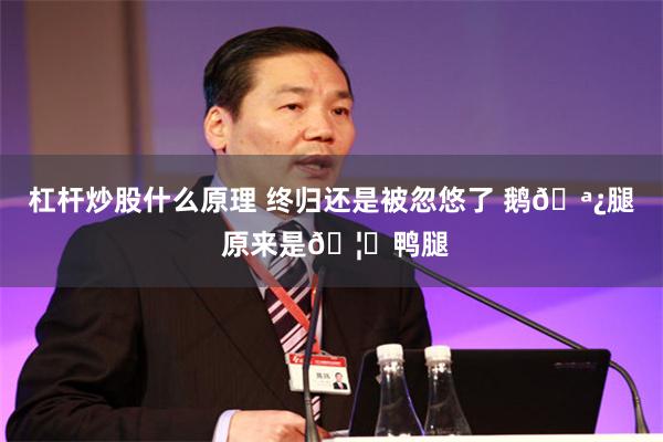 杠杆炒股什么原理 终归还是被忽悠了 鹅🪿腿 原来是🦆鸭腿