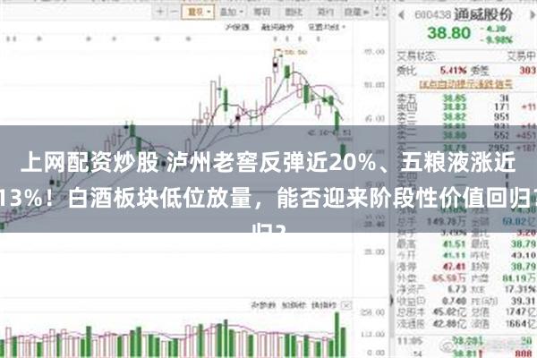 上网配资炒股 泸州老窖反弹近20%、五粮液涨近13%！白酒板块低位放量，能否迎来阶段性价值回归？