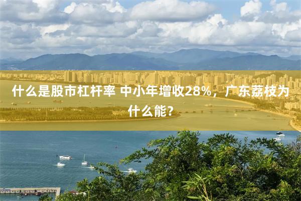 什么是股市杠杆率 中小年增收28%，广东荔枝为什么能？