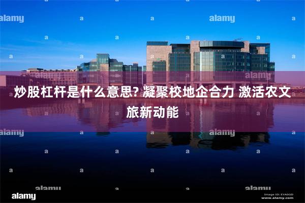 炒股杠杆是什么意思? 凝聚校地企合力 激活农文旅新动能