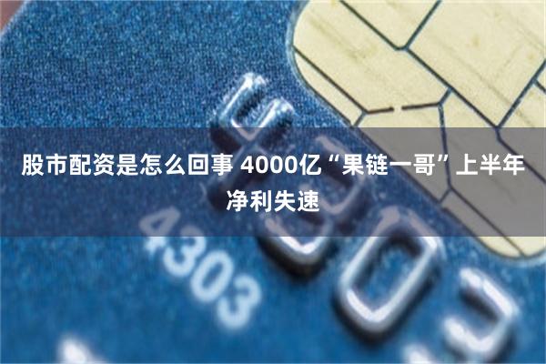 股市配资是怎么回事 4000亿“果链一哥”上半年净利失速