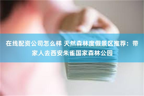 在线配资公司怎么样 天然森林度假景区推荐：带家人去西安朱雀国家森林公园