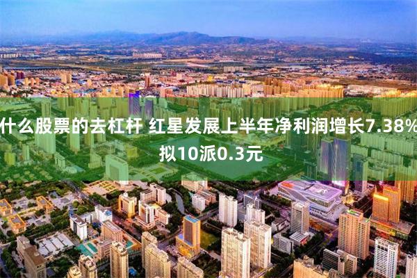 什么股票的去杠杆 红星发展上半年净利润增长7.38% 拟10派0.3元