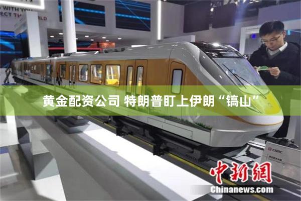 黄金配资公司 特朗普盯上伊朗“镐山”