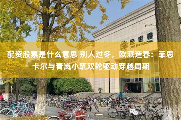配资股票是什么意思 别人过冬，欧派造春：菲思卡尔与青岚小筑双轮驱动穿越周期