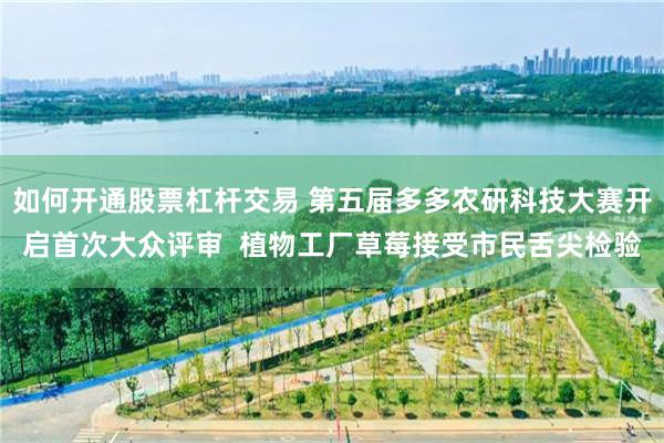 如何开通股票杠杆交易 第五届多多农研科技大赛开启首次大众评审  植物工厂草莓接受市民舌尖检验