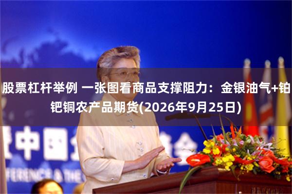 股票杠杆举例 一张图看商品支撑阻力：金银油气+铂钯铜农产品期货(2026年9月25日)