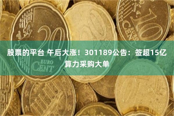 股票的平台 午后大涨！301189公告：签超15亿算力采购大单