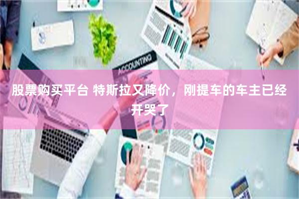 股票购买平台 特斯拉又降价，刚提车的车主已经开哭了