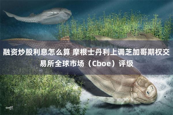 融资炒股利息怎么算 摩根士丹利上调芝加哥期权交易所全球市场（Cboe）评级