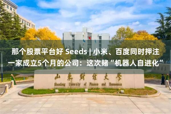 那个股票平台好 Seeds | 小米、百度同时押注一家成立5个月的公司：这次赌“机器人自进化”